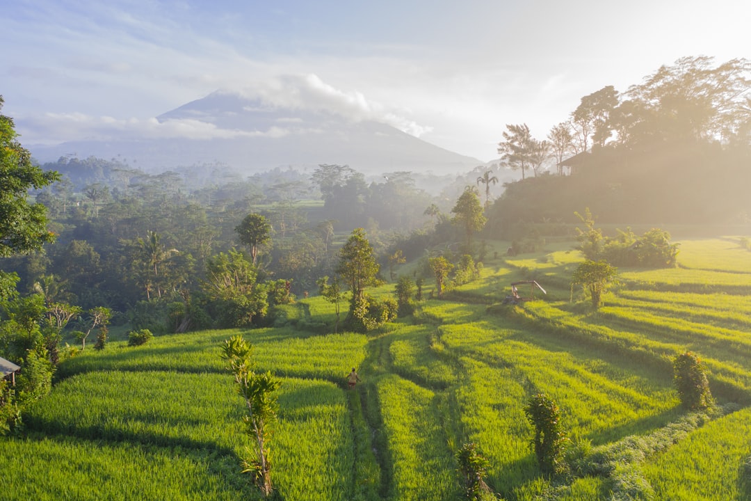 Bali landscape 6